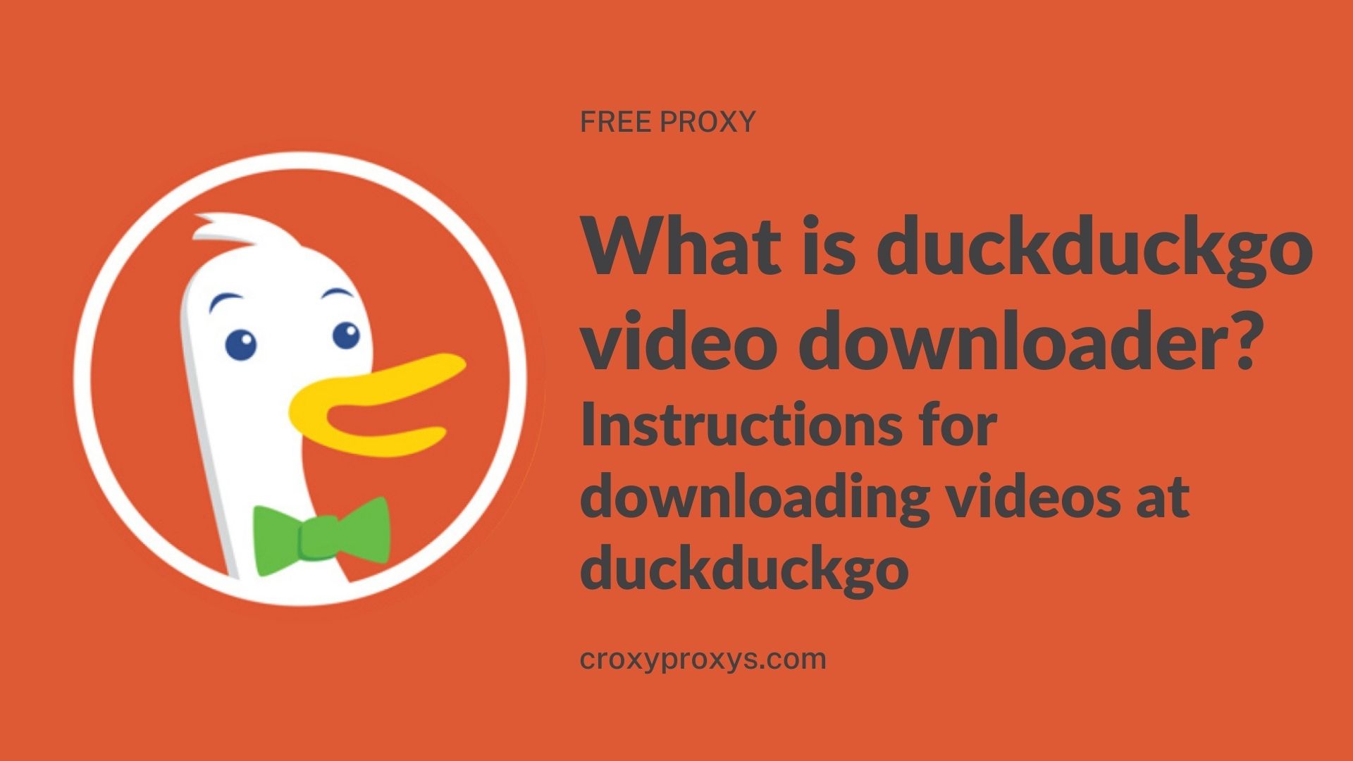 duckduckgo video downloader