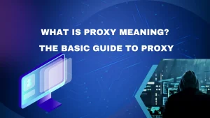 What is proxy meaning? The basic guide to proxy